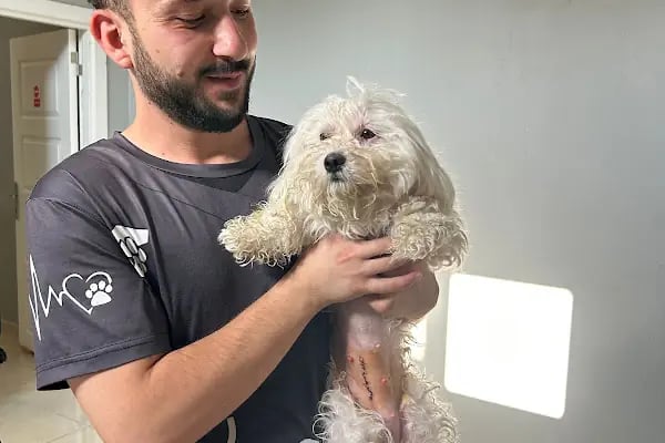 Amazon Veteriner Kliniği Kahramanmaraş - Resim 11
