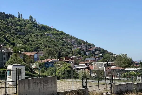 Faik Yilmaz İpek İöo - Resim 3