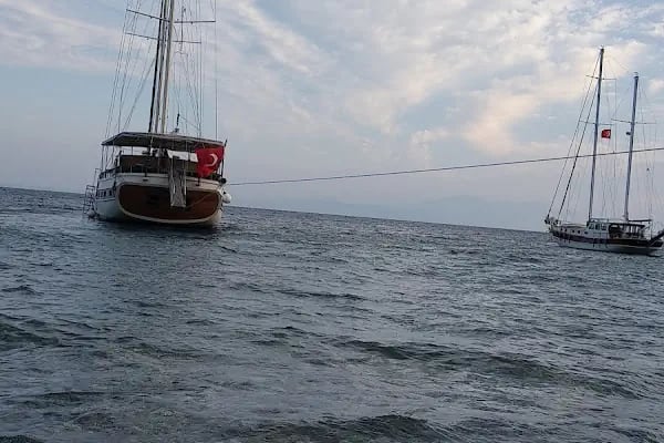 Ilgın Koyu - Resim 16