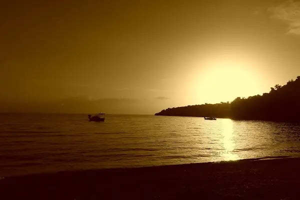 Ilgın Koyu - Resim 12