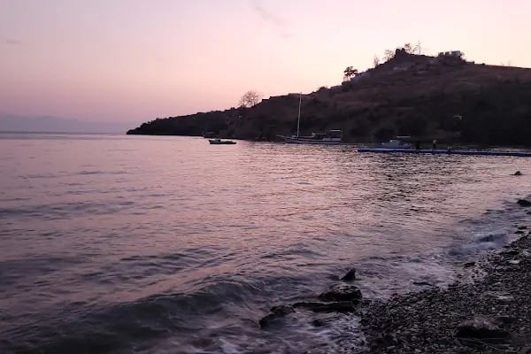 Ilgın Koyu - Resim 20
