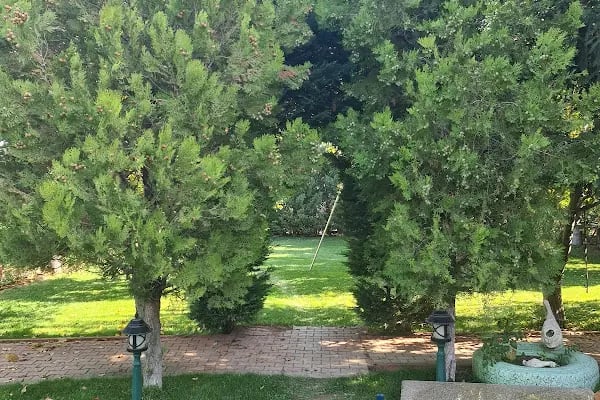 CMC VILLA - Resim 5