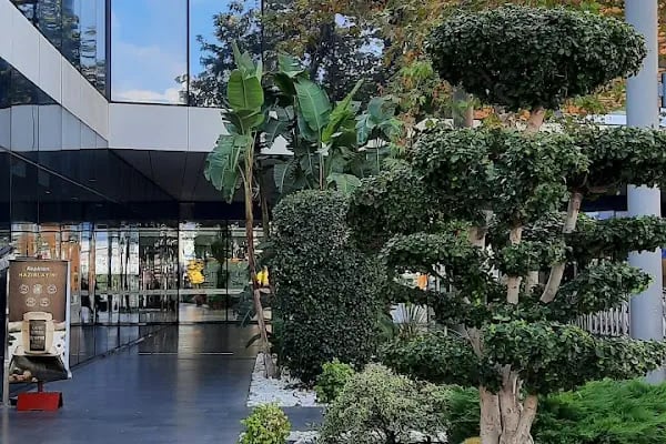 Aksin Cineması - Erasta Mall - Resim 19