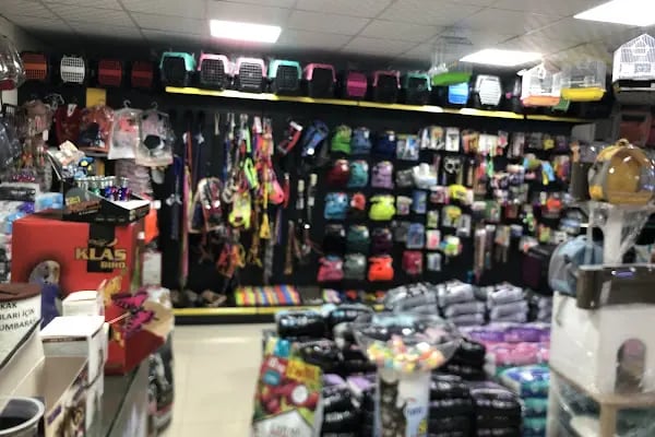 Doğa Petshop Eryaman (Behçet ÖZDEMİR) - Resim 2