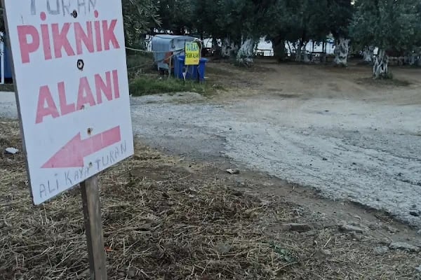 Turan Aile Piknik ve kamp Alanı - Resim 18
