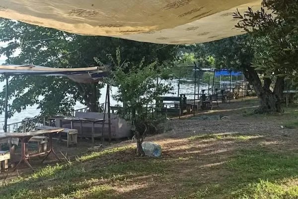 Turan Aile Piknik ve kamp Alanı - Resim 14