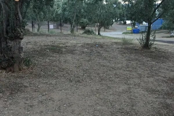 Turan Aile Piknik ve kamp Alanı - Resim 19