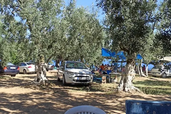 Turan Aile Piknik ve kamp Alanı - Resim 20