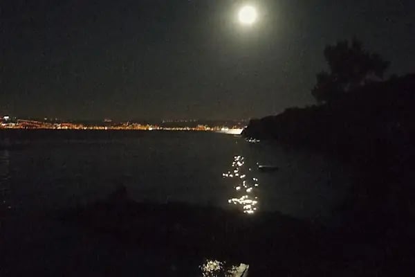 Turan Aile Piknik ve kamp Alanı - Resim 12