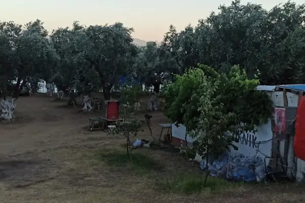 Turan Aile Piknik ve kamp Alanı - Resim 3