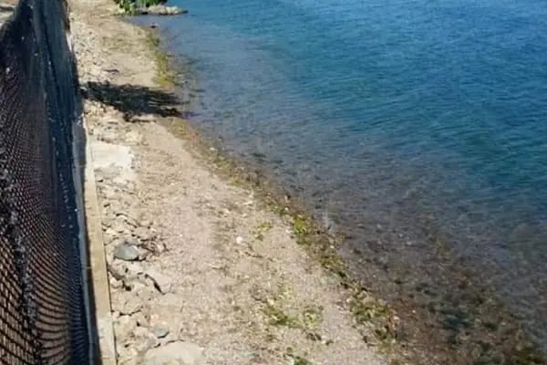 Turan Aile Piknik ve kamp Alanı - Resim 13