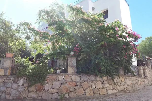 Melisa Villas Oasis - Resim 5