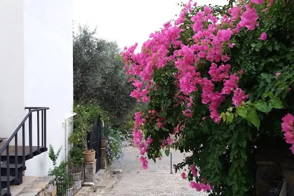 Melisa Villas Oasis - Resim 3