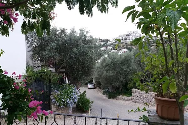 Melisa Villas Oasis - Resim 4