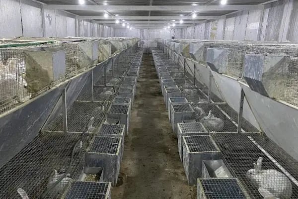 AK TAVŞAN Et Entegre ve Kombine Üretim Tesisleri - Resim 2
