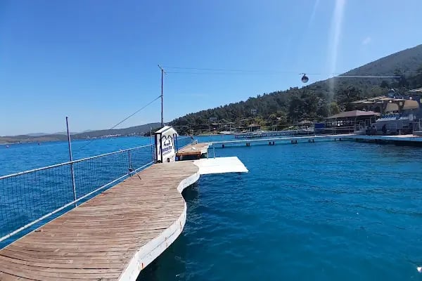 Bodrum Dolphin Park - Yunus Gösteri Merkezi - Resim 4