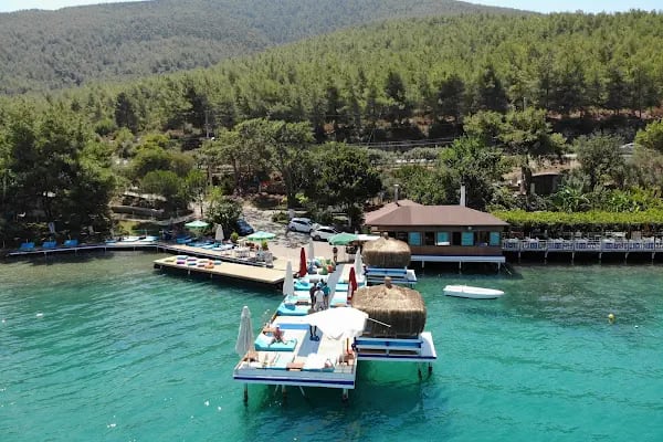Bodrum Dolphin Park - Yunus Gösteri Merkezi - Resim 15