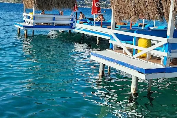 Bodrum Dolphin Park - Yunus Gösteri Merkezi - Resim 19