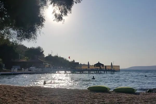 Bodrum Dolphin Park - Yunus Gösteri Merkezi - Resim 13