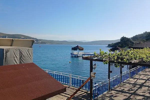 Bodrum Dolphin Park - Yunus Gösteri Merkezi - Resim 17
