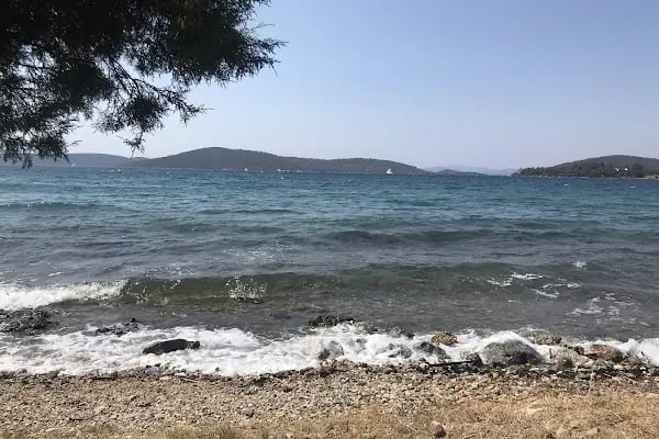 Bodrum Dolphin Park - Yunus Gösteri Merkezi - Resim 9