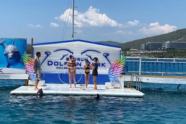 Bodrum Dolphin Park - Yunus Gösteri Merkezi - Resim 12