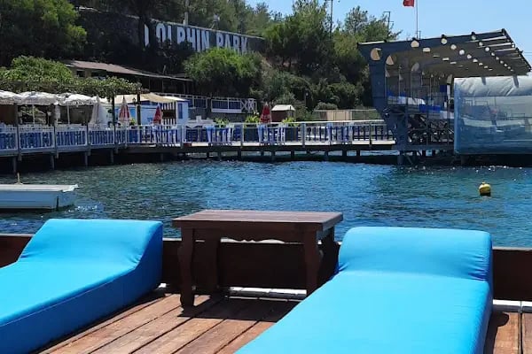 Bodrum Dolphin Park - Yunus Gösteri Merkezi - Resim 8