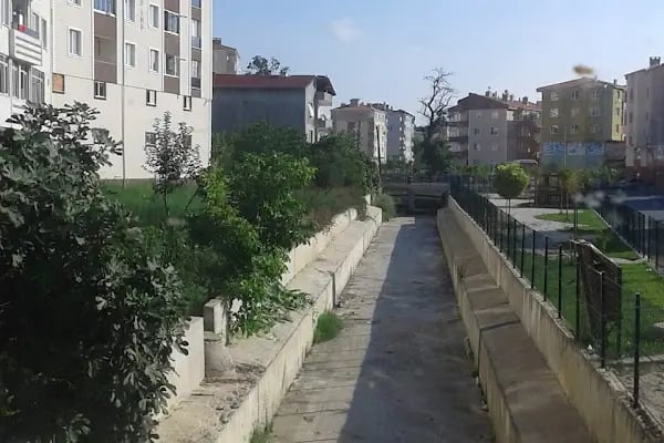 Aras Kargo Kapaklı Şubesi - Resim 5