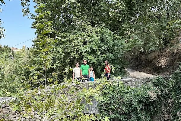 Bozdoğan Belediyesi Yardibi Parkı - Resim 16