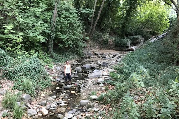 Bozdoğan Belediyesi Yardibi Parkı - Resim 3