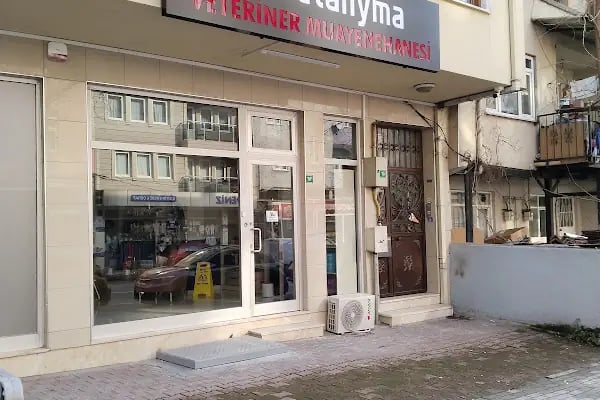 Vetanyma Veteriner Muayenehanesi - Resim 3