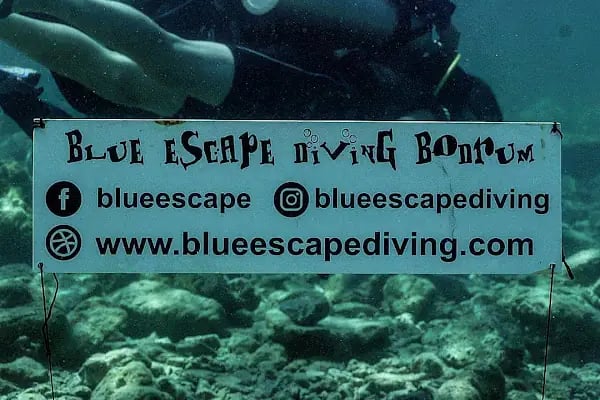 Blue Escape Dalış Merkezi / Atamer Group - Resim 8