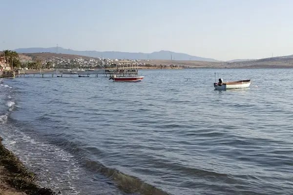 Şakran Kasap - Resim 4