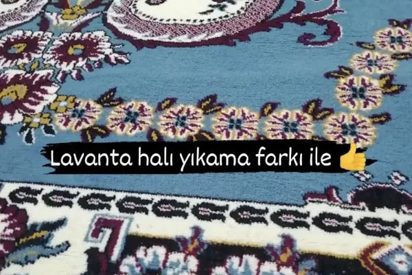 Lavanta Hali Yikama - Resim 8