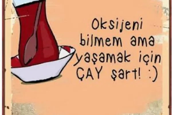 Gafur’un Malikanesi - Resim 8