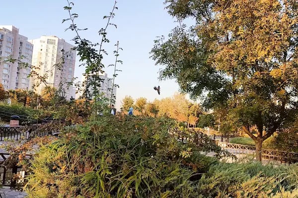 Barış Fidanlığı Parkı - Resim 17