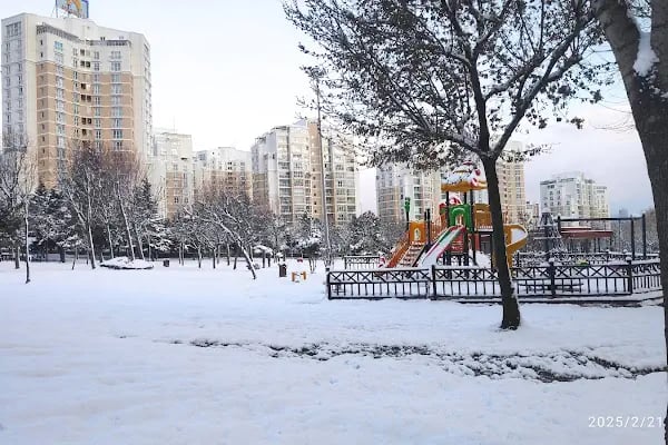 Barış Fidanlığı Parkı - Resim 8