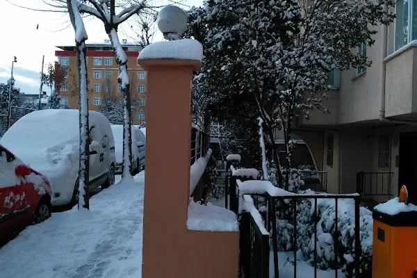 Barış Fidanlığı Parkı - Resim 6