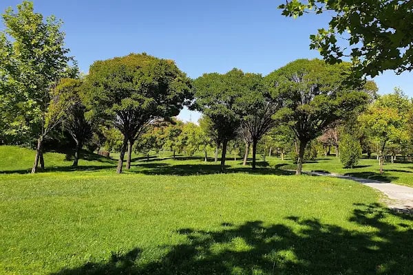 Harikalar Diyarı Park (Anfi Tiyatro) - Resim 5