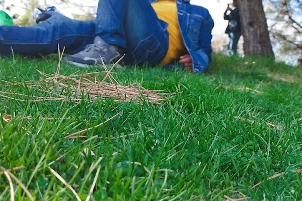 Harikalar Diyarı Park (Anfi Tiyatro) - Resim 18