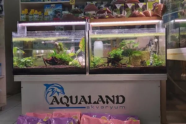 AQUALAND Akvaryum - Resim 2