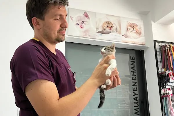 Farilya Veteriner Kliniği - Resim 9