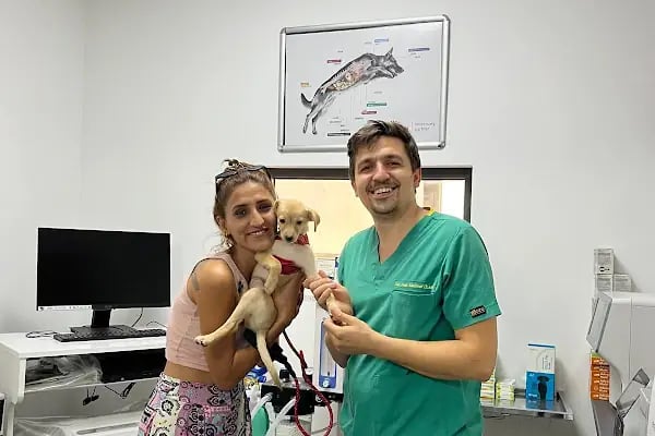 Farilya Veteriner Kliniği - Resim 5