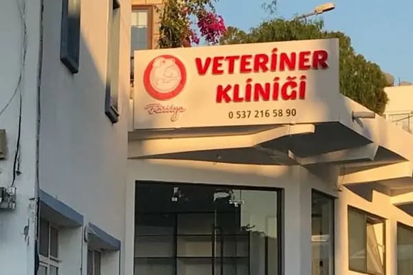 Farilya Veteriner Kliniği - Resim 10