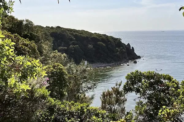 İdo Burgazada Deniz Otobüsü İskelesi - Resim 6