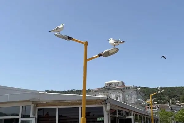 İdo Burgazada Deniz Otobüsü İskelesi - Resim 11