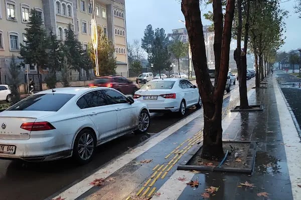 Bismil Altıok çocuk parkı - Resim 15