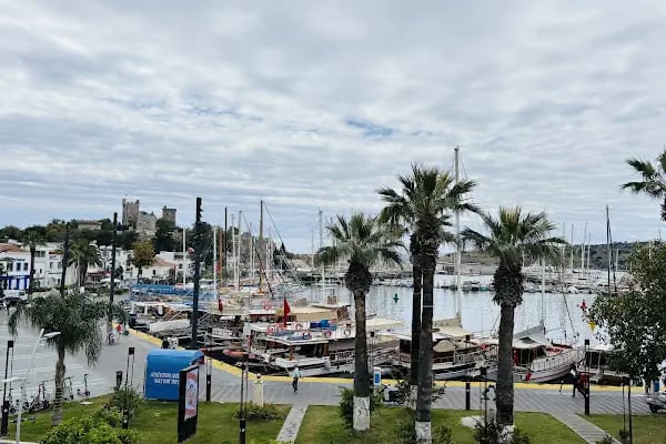 Mösyö Bodrum - Resim 5