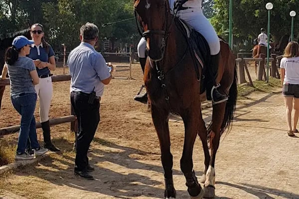 ABAK Antalya Binicilik ve Atlı Spor Kulübü - Resim 10