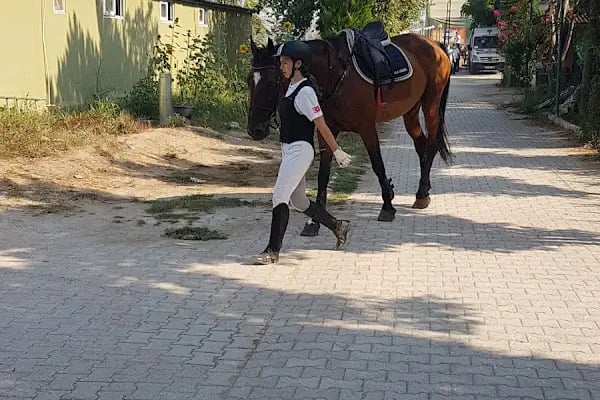 ABAK Antalya Binicilik ve Atlı Spor Kulübü - Resim 17
